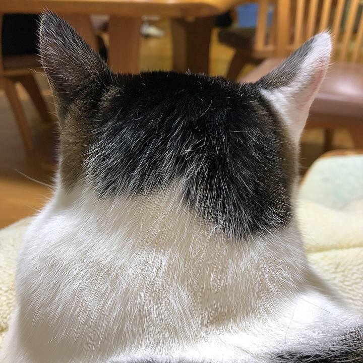 D8feef0d ce49 46f6 8e10 d03513866f5e 1666357607988