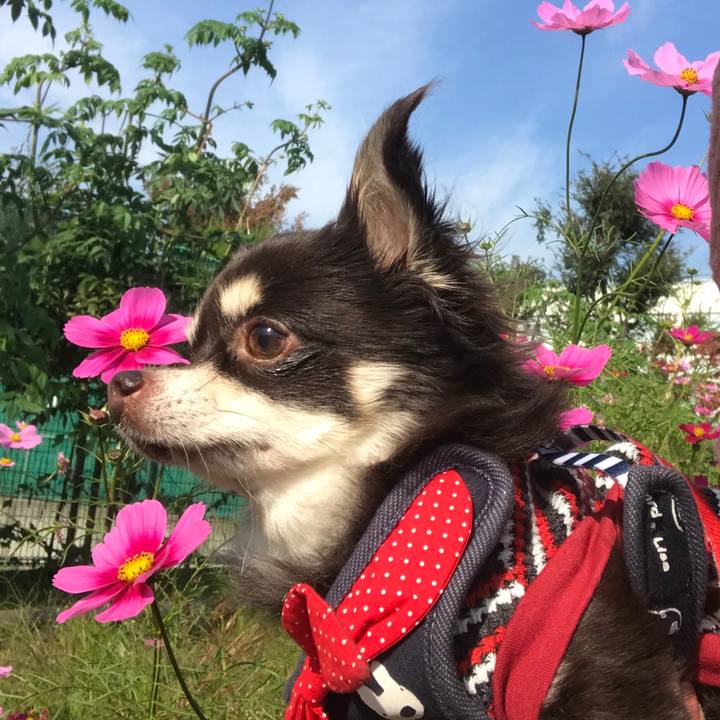 D8ff1372 c399 42c8 ae65 7be2f6c9a94b 1509595722365