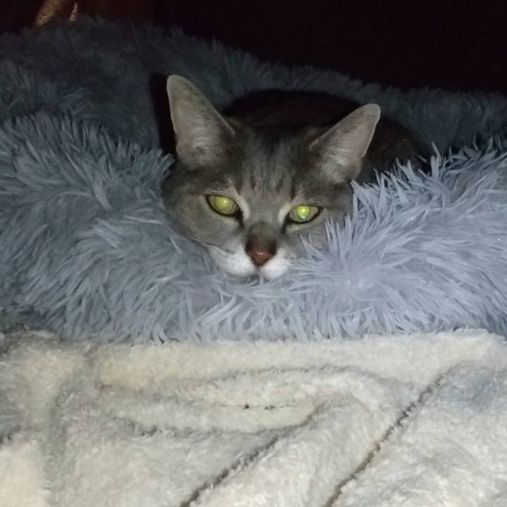 D8ff26cf de03 4b18 abd5 2ba082312a0c 1645831786443