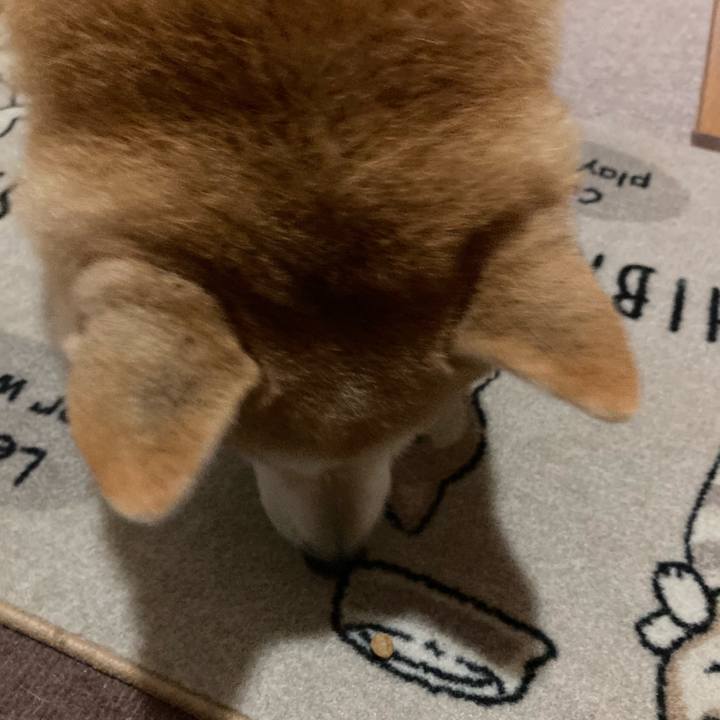 D8ff28ce bf22 48a0 bc94 b13530ea152d 1632659771759