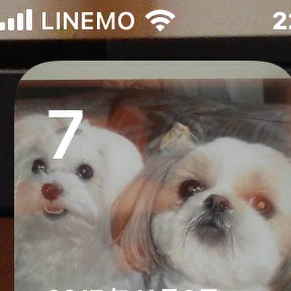 D8ff5991 6e44 493d 9e77 4107d64cbb44 1667828786575