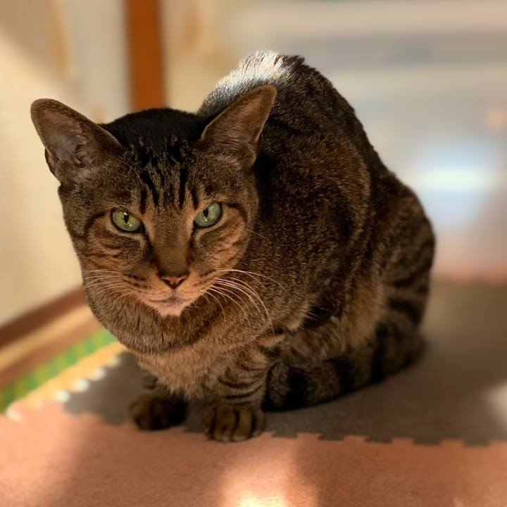 D8ff60ba 36f2 4f0a 961c 8dc40cdd15b2 1580519876905