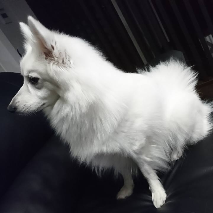 D8ff91b2 e051 4999 b376 8a3b7b3deeb4 1541218695817