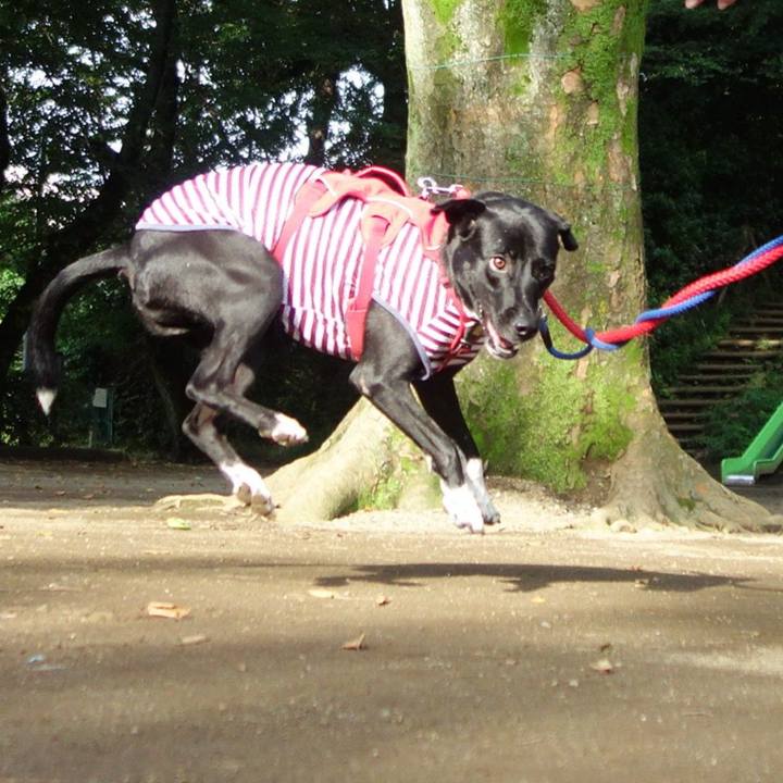 D8ffb9ed da24 4e31 98e1 a15a080c24ee 1595204869539