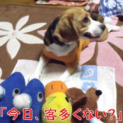 D8ffdd46 2035 47dd 86e9 987ca028dc92 1714343236800