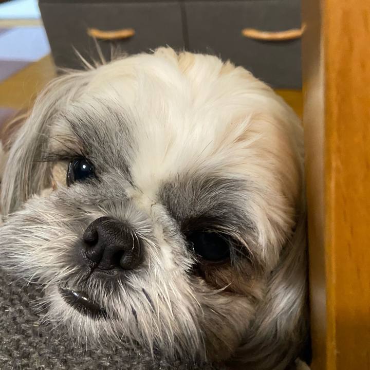 D8ffe1e5 1bf1 4704 98e8 aacb02ae22b4 1653526578788