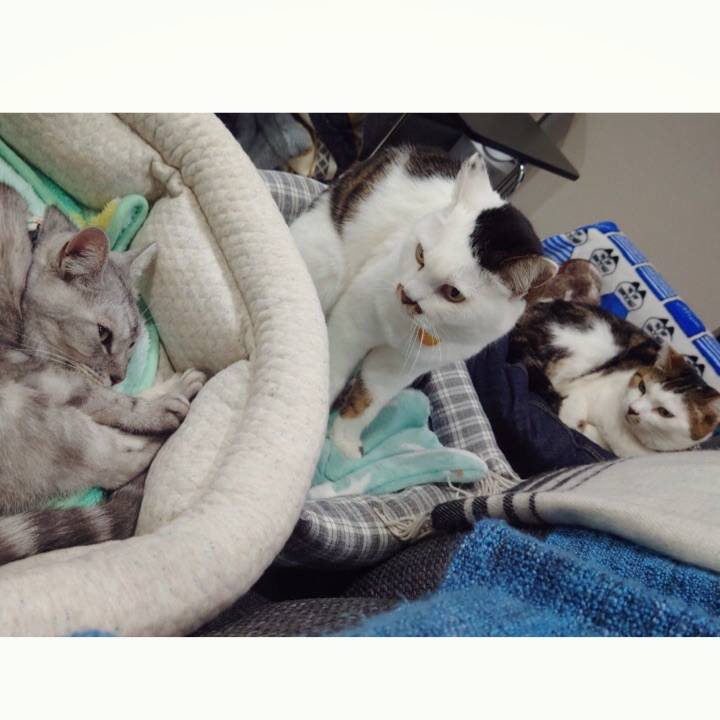 D9000e38 26be 40fd 9c0d a1ba9fa5ed9e 1613968818417