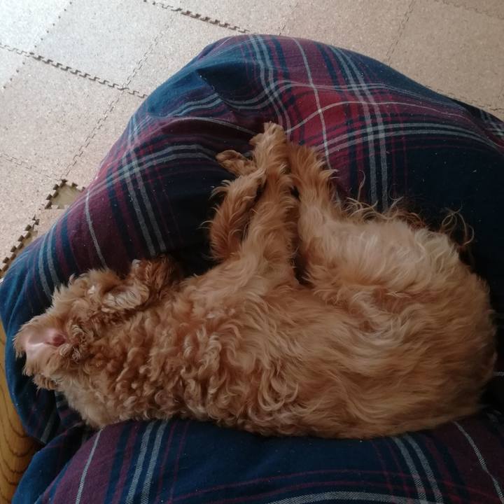 D9001220 30a5 4147 9434 f5b7890aaae1 1553922508086