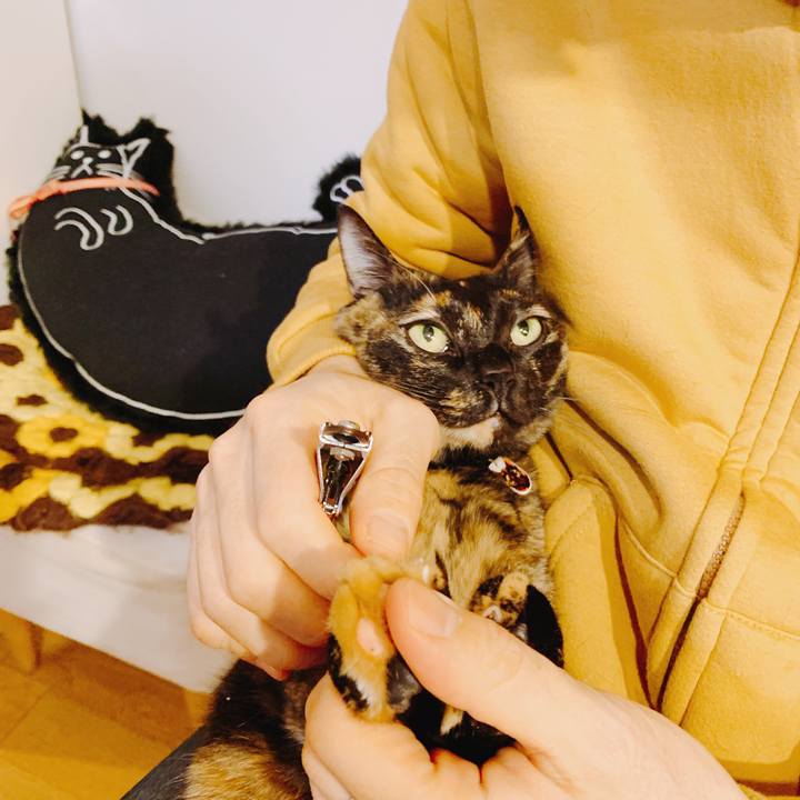 D900335a 2881 48e3 bc38 fc905c8a7ab0 1552914267024