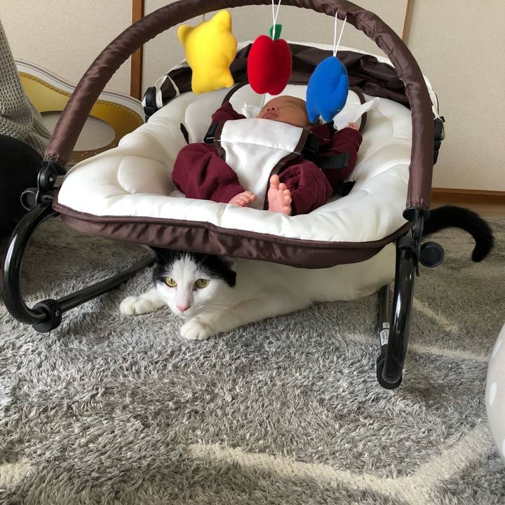 D90033c6 fd2a 4b63 b406 a3b0fa6ee445 1574047722389