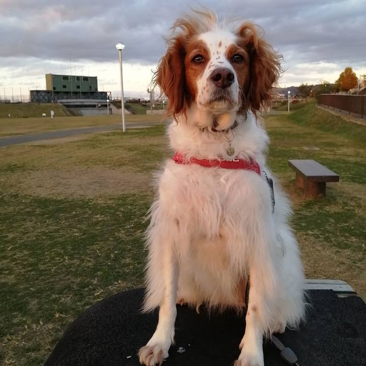 D90033e4 fced 44c5 a681 94cd9fdf9910 1574161635665