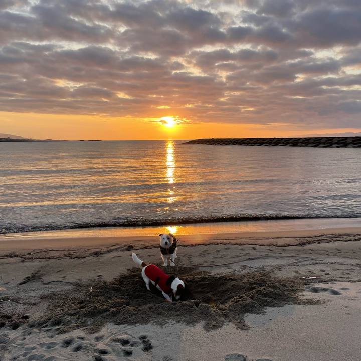 D9003b2e 9741 40bd bed2 89d0c4d75301 1676109591572