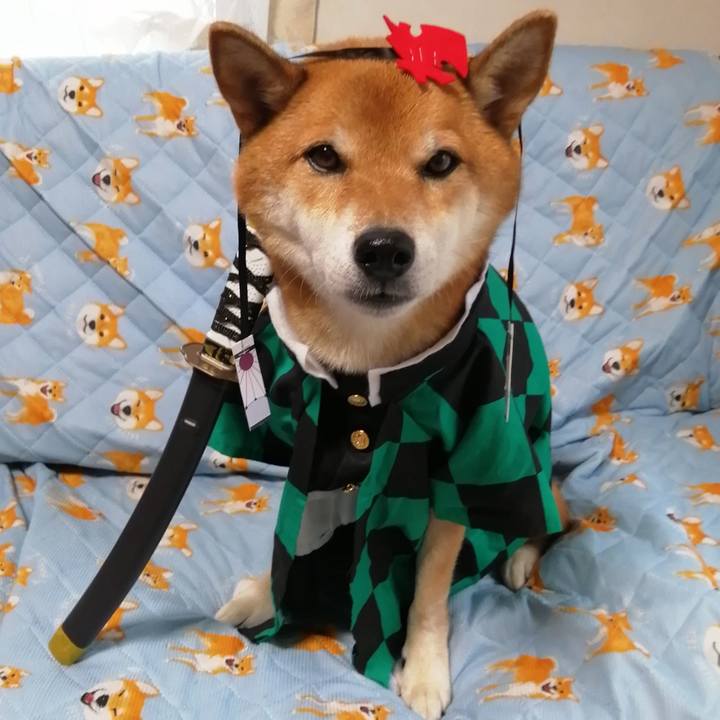 D9003b81 1e79 4a91 8560 8f942f9047ba 1602741451037