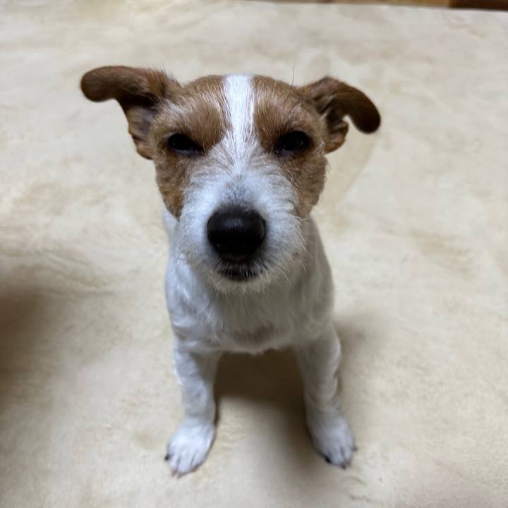 D9005f25 fec5 4383 9eae df951e730122 1769030069236