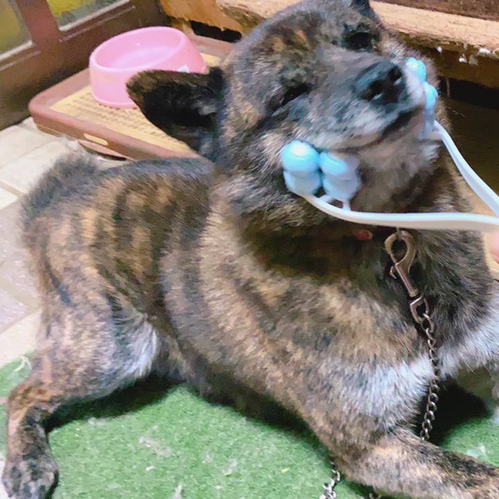 D9006e53 79c3 4cf5 a4c0 0771fd48e640 1589675243681