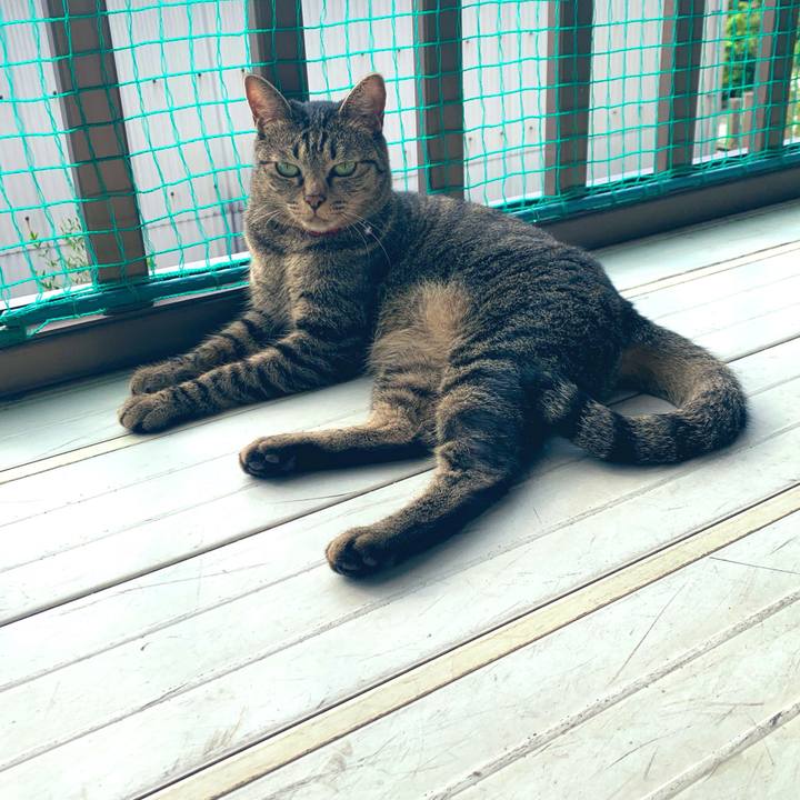 D900813b 1d68 4de9 a881 ef1f5fc69a1d 1567308803522