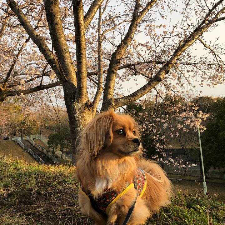 D9008fef 9458 42f4 a32d bea9165bf3d8 1554069431271