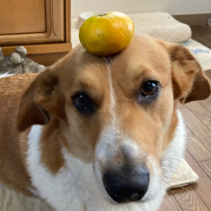 D90094be f31a 46bf b883 03c224e4819f 1687915734718