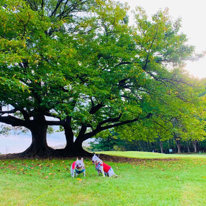 D9009799 0d9a 4416 aaea ffd4c81c7e52 1602912439735