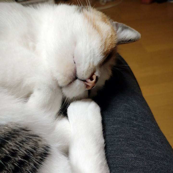 D9009d3e 6ab7 491d 960c 48a6e515e3f0 1683200186136