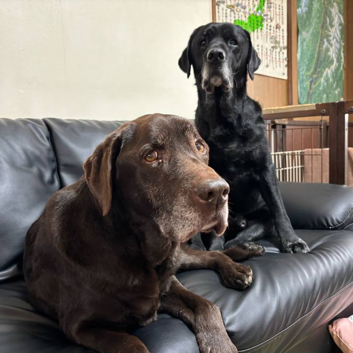 D900a62d 2e56 4606 b7e6 aef59ea3931b 1767433678320