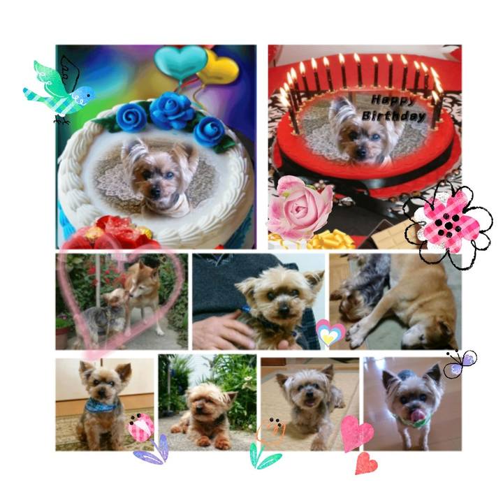 D900d080 5ef7 4b93 bd20 2c8854a3d149 1522421593403