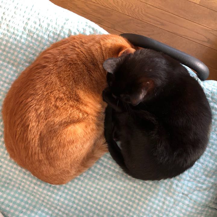 D90105e8 8aab 4106 a8e8 bb0e94fa0d9b 1736723268506