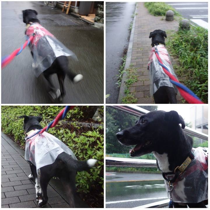 D9011f91 c86d 4971 bc53 c1ca69bbfb43 1625392999150