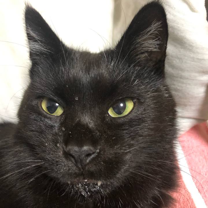 D901a0a5 054f 4fea 8293 7f464a9c3dbc 1632225689826