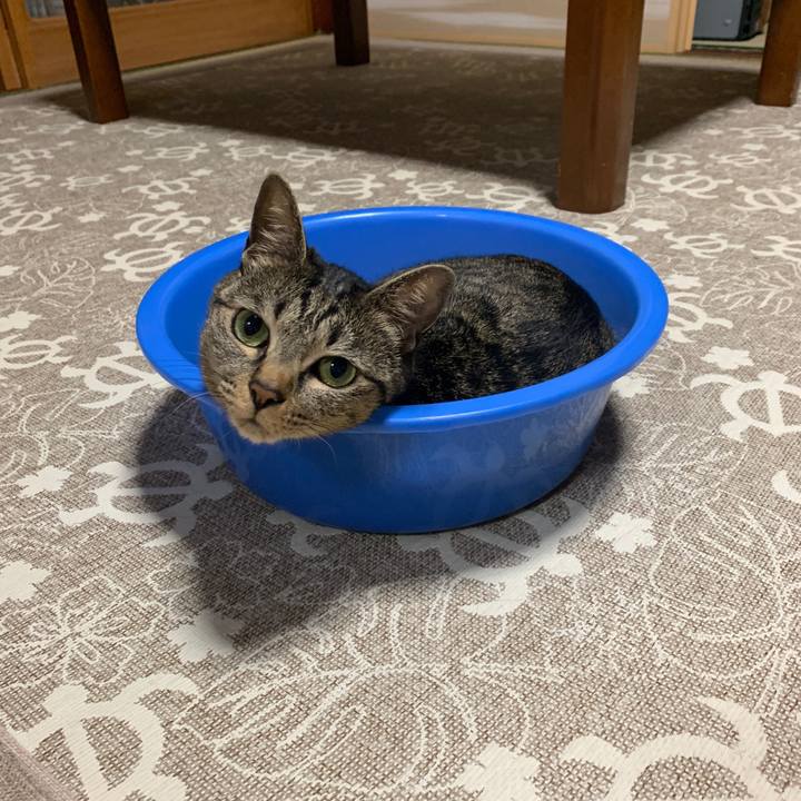 D901bec9 915c 4a7c a4d9 f62ad0b3c173 1561939985900