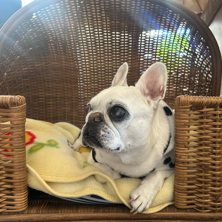 D901c2be ba8f 440f 8a4a c0cd0b5f71b1 1768632417769