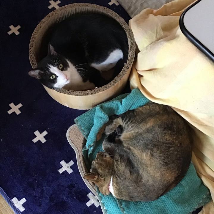 D901e267 7708 4205 9af6 c8dc6f5633d7 1739345206109