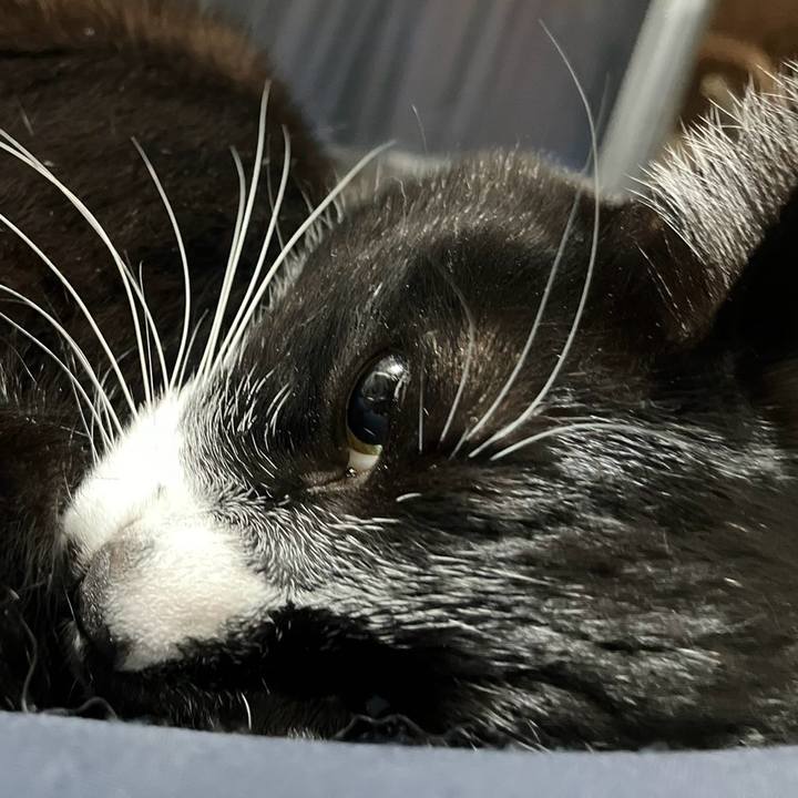 D9020c7a 8f75 4822 b720 898046e8d46b 1711197655316