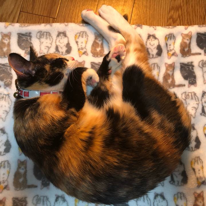 D9022a3a ea17 4624 b8f3 33ac6a52bfb8 1550920385706