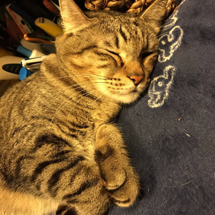 D9023f8f 245a 4c53 9cce 9d09721d0aae 1509114696211