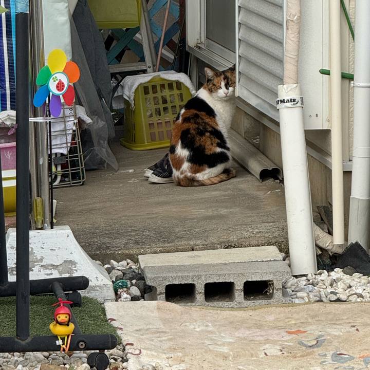 D9025307 f557 4179 a8fe dcdc68d4a5b2 1764212682536