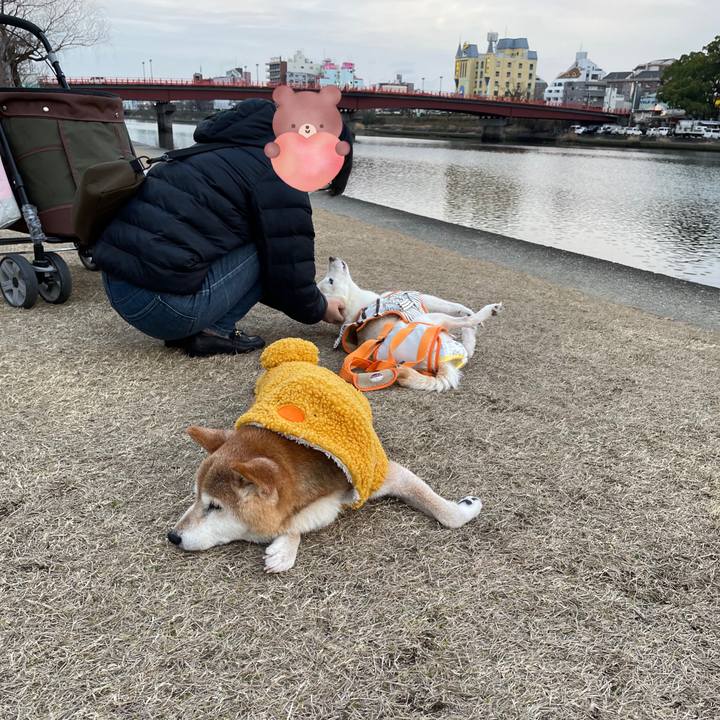 D90268be 655a 41d1 b62e d344662f44cd 1676208793711