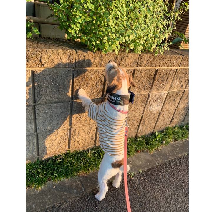 D9028688 d06f 4da1 9e6f 55493cba0845 1597828667611