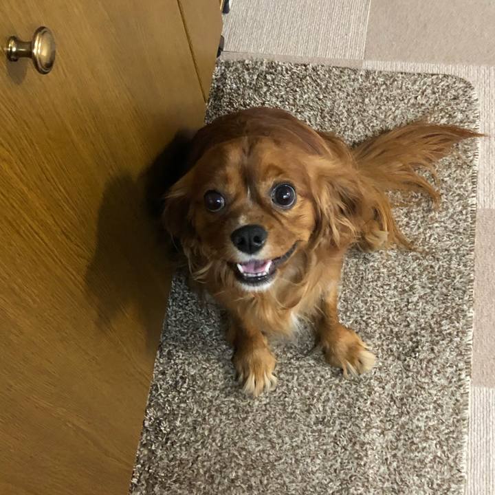 D902b804 361d 481e a0c3 1aa1c443b1e0 1561068732477