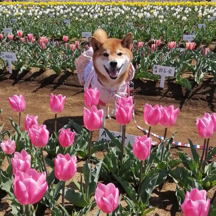 D902b8c2 0715 427e a3bf ede1a5ef3ead 1649413165936