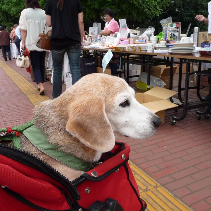 D902d69b dee6 4fd9 aa20 04c87ce792f8 1699663500864