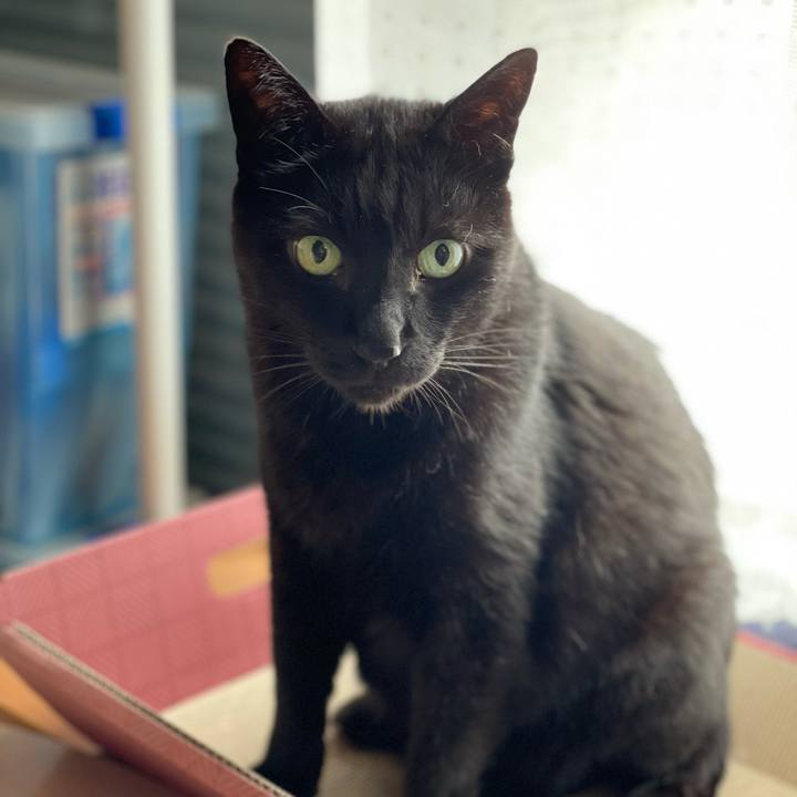 D902dc70 35fb 451f 8ffd 7ace7f05003b 1623291177170