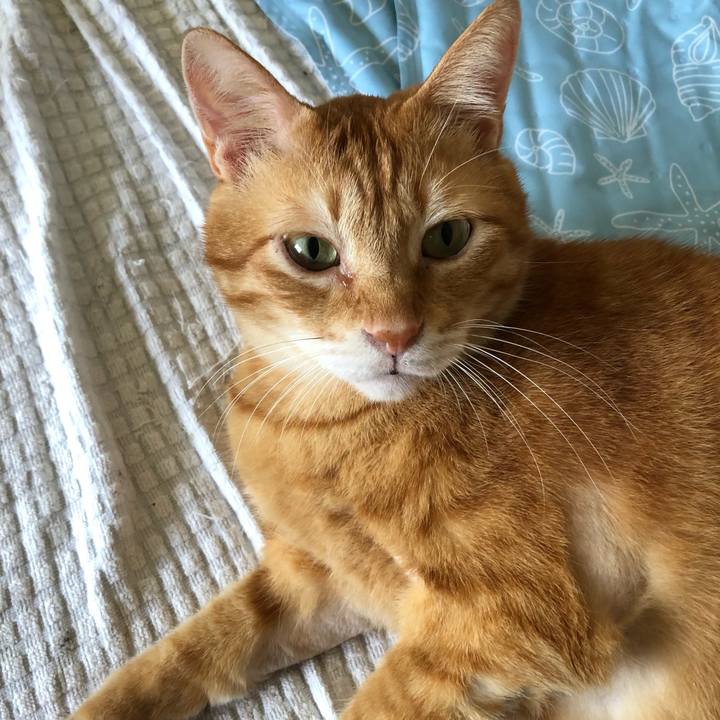 D902df49 ef96 4272 a795 954ba96f2ba3 1629791922383