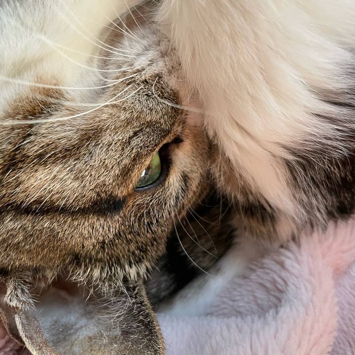 D903175c 095d 4e53 b296 ec798770e16f 1640138567732