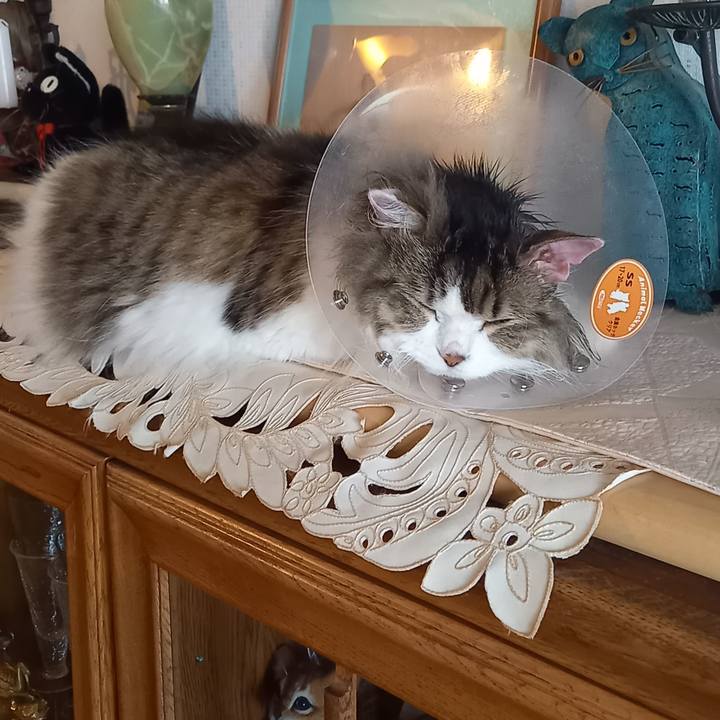 D90319c9 bf74 49e4 9e46 5939f0b92bb9 1654466165997