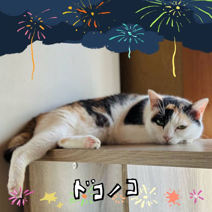 D9032c3f a743 48bd a020 972ceafca81b 1723339928351