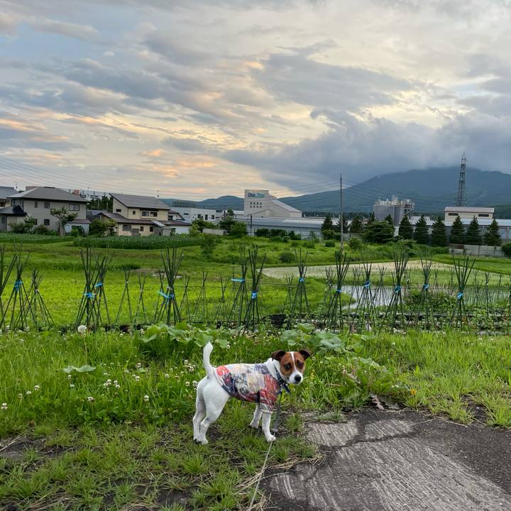 D90346da afcd 4e73 ba0e dee02d4a1771 1625396953877