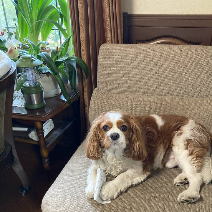 D9034976 55d7 42a0 a0df 7b7017307336 1748783055355