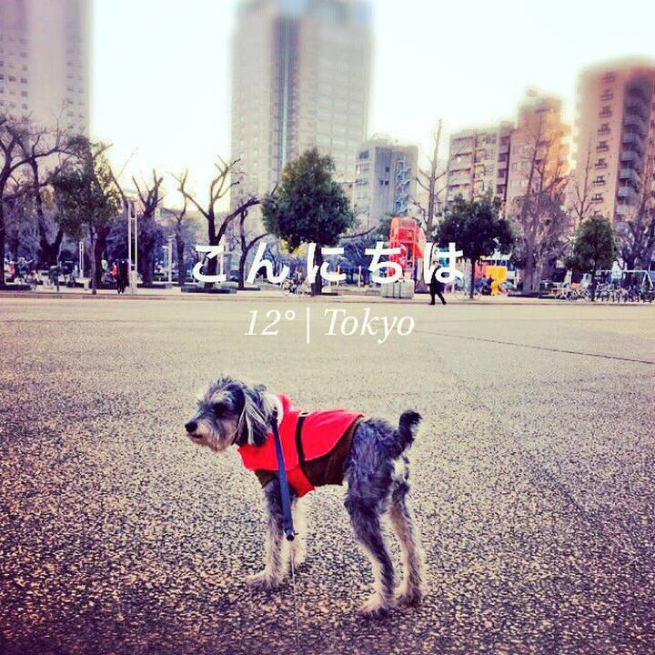 D9037860 a0d5 467a 9a27 43b7ee1abb11 1513885039974