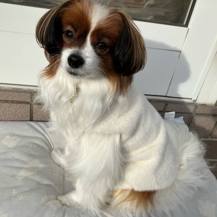 D9038b24 a0f7 474e b535 04b5f0bf3159 1732059740097